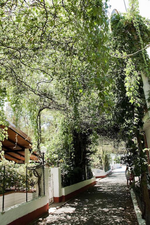 Villaggio La Pantera Rosa Scalea Zewnętrze zdjęcie